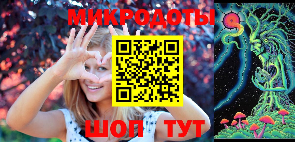 Донской  Псилоцибиновые грибы Cubensis  Вход с VPN 